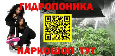 гашик Кулебаки