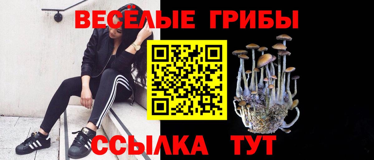 Псилоцибиновые грибы ЛСД  Вход с VPN  Благовещенск  Галлюциногенные грибы Cubensis 